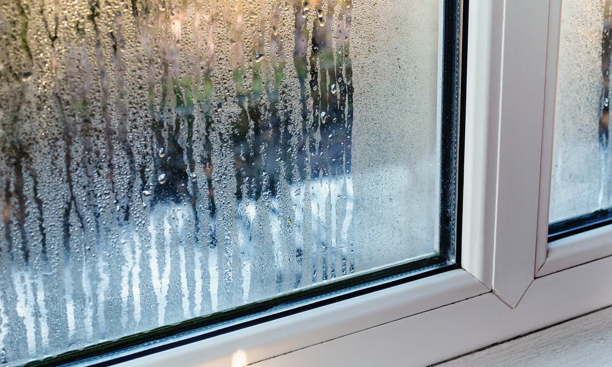 Condensation building up on the interior of a white window.